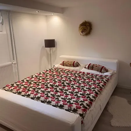 Charmante Einliegerwohnung, 3 Zimmer In Ruhiger Wohnlage, 60Qm, Mit Gemuetlicher Suedterrasse Marburg Buitenkant foto